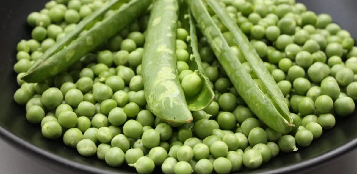 Pea, boiled with smoked brisket, 1-298