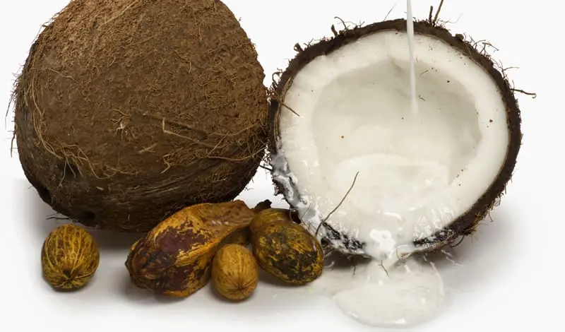 The whole truth about coconut oil