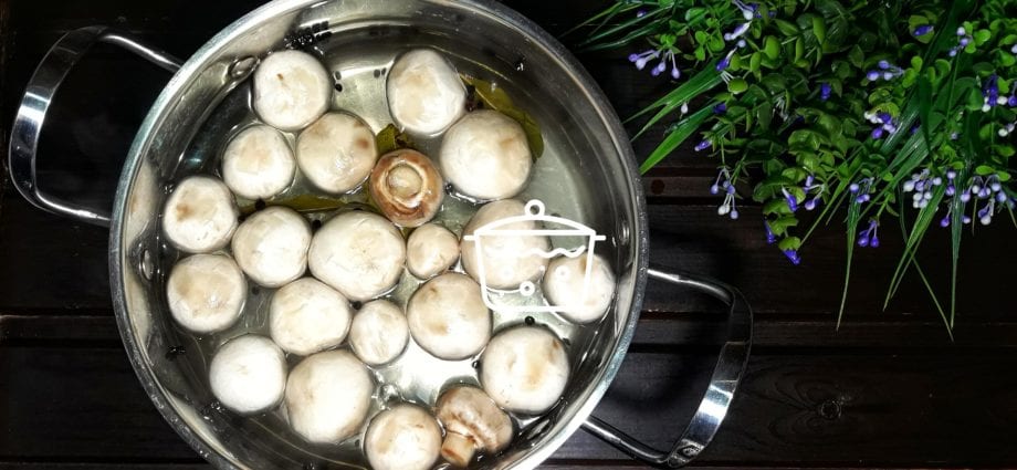 Useful tips for boiling mushrooms