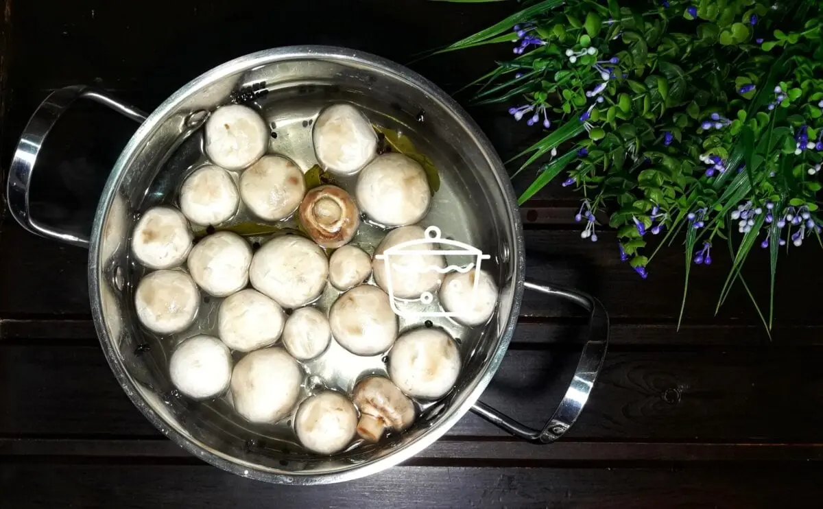 Useful tips for boiling mushrooms