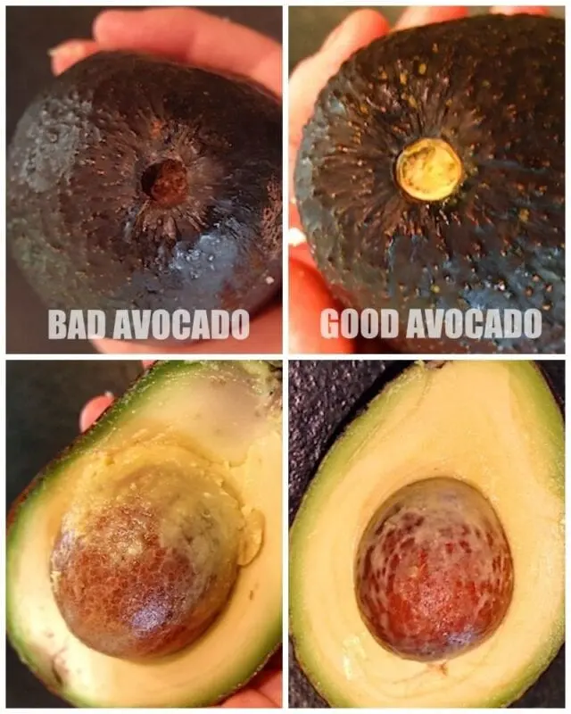 Valuable life hacks for avocado lovers