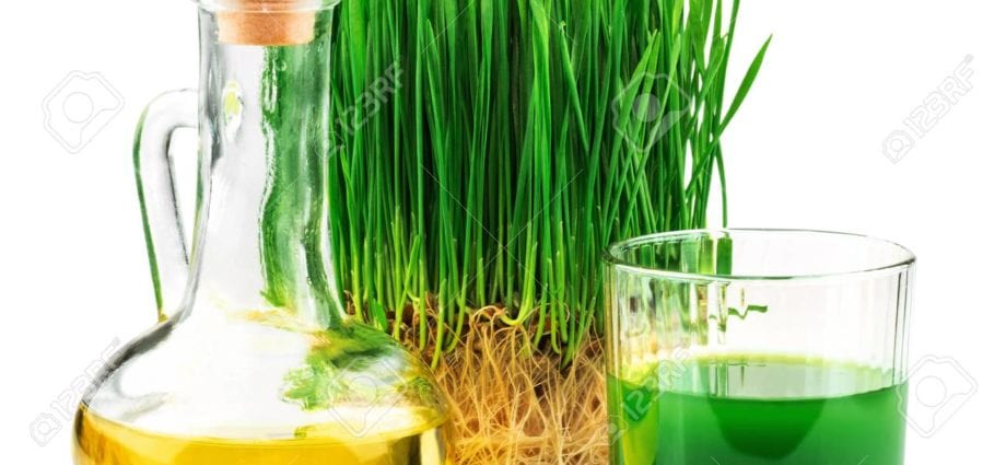 Wheatgrass oil