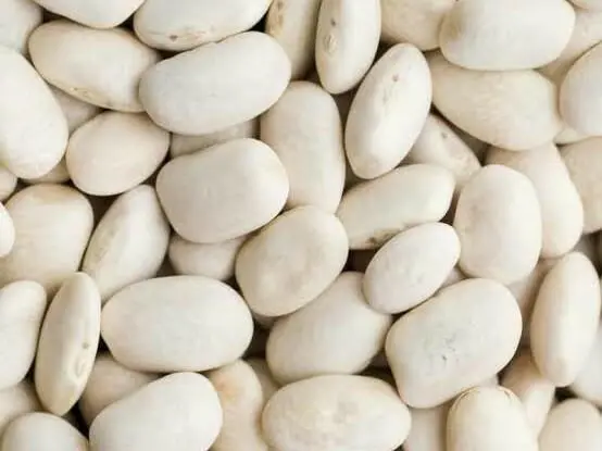 White Beans, small, Mature seeds, cooked without salt