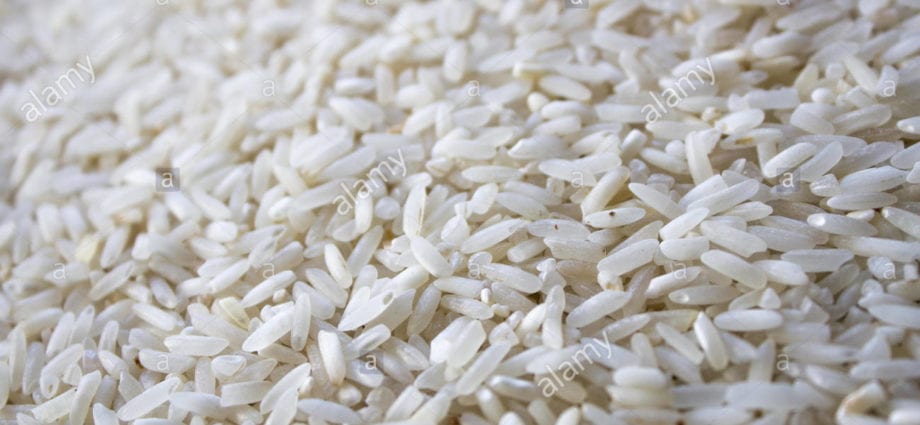 White rice, rice groats