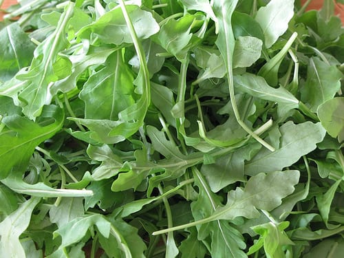 Why arugula is bitter and how to get rid of the bitterness