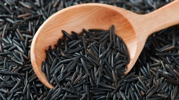 Wild rice (black, Indian rice, cyzania), cooked