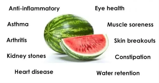 10 facts about watermelon that will definitely surprise you