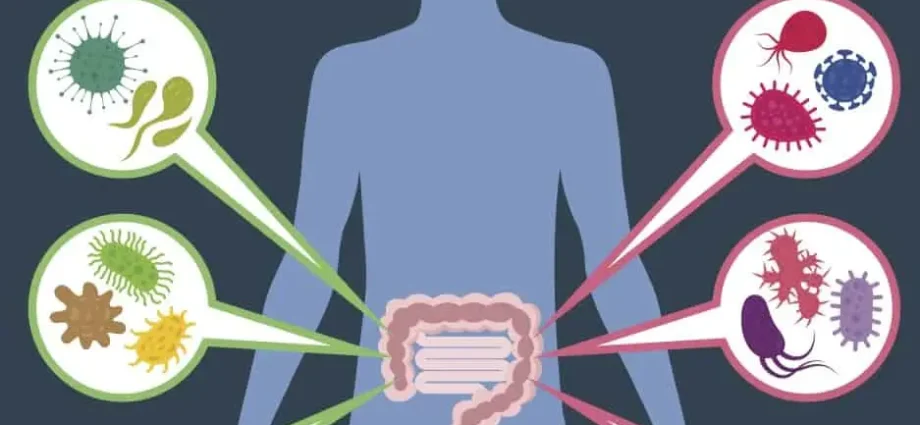 4 Reasons Why Gut Health Is Critical