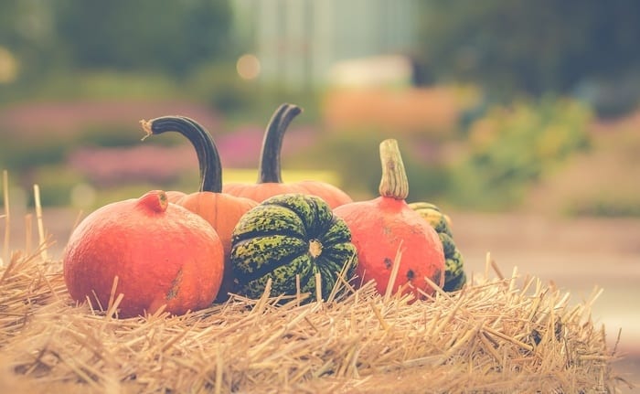 5 autumn foods that will help to lose weight
