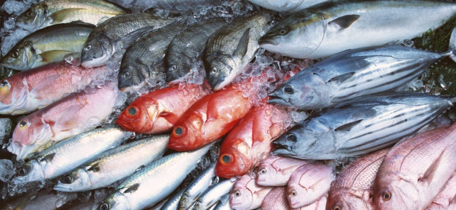 Několik tipů, jak ryby skladovat