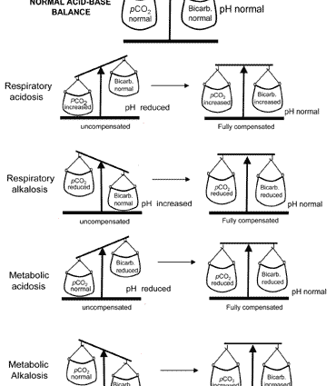 Acid-base balance products table