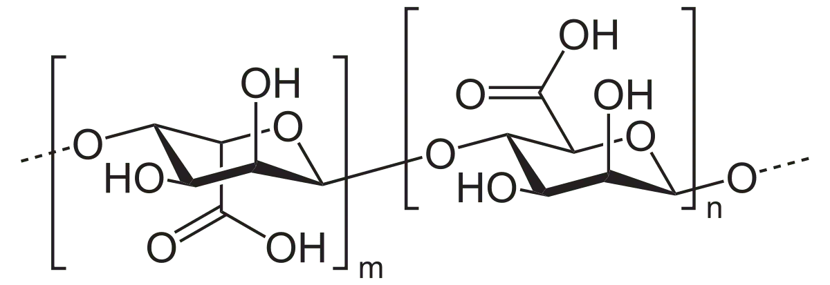 Alginic acid