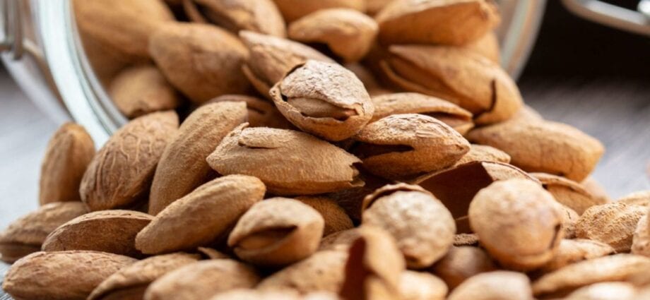 Almond - deskripsi kacang. Manfaat dan bahaya kesehatan