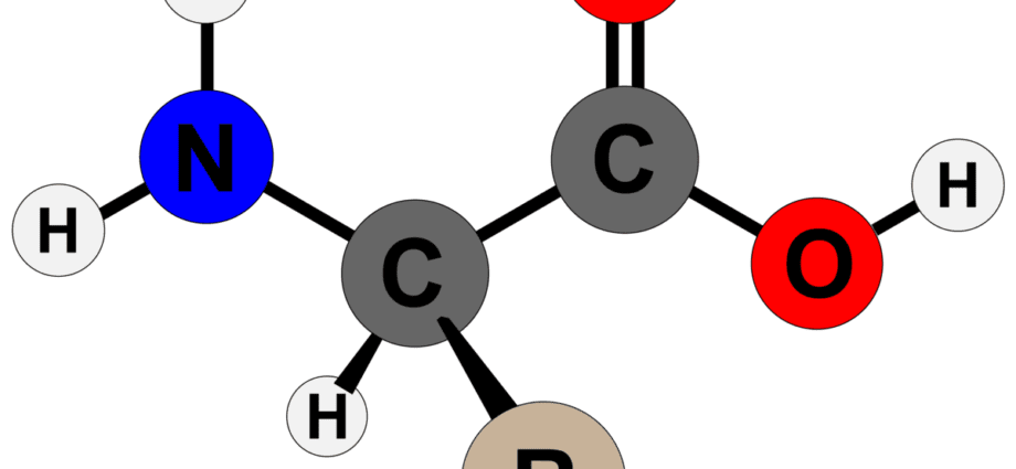 Amino acid