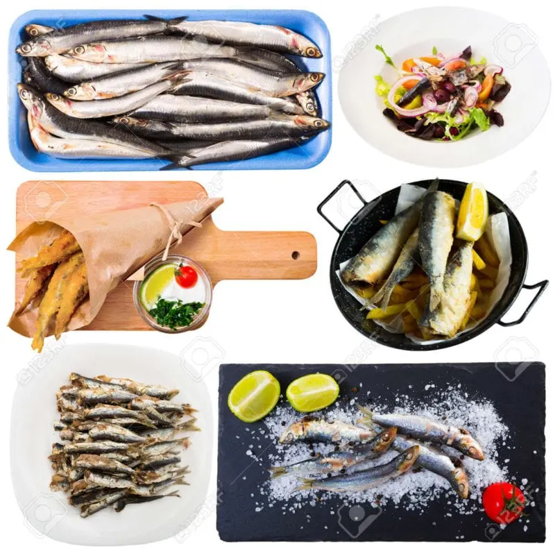 Anchovy, hamsa, sprat &#8211; fish recipes