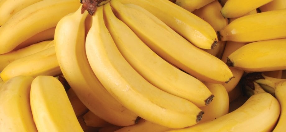 April 10 &#8211; Banana Day: facts about bananas that will surprise you