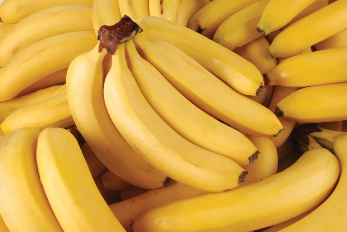 April 10 &#8211; Banana Day: facts about bananas that will surprise you