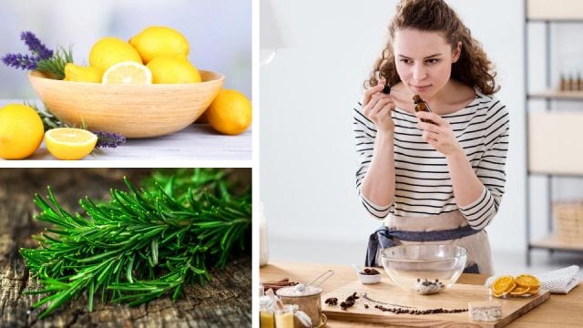 Aroma weight loss: what smells will help satisfy hunger