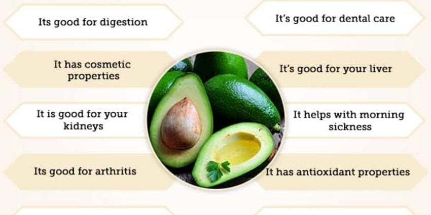 Avokado: hvilken effekt det har på menneskers helse