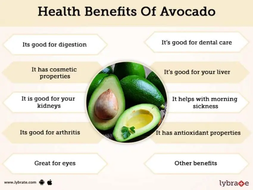 Avocado: what effect it has on human health