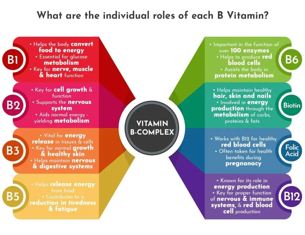 B vitamins &#8211; their role in the human body