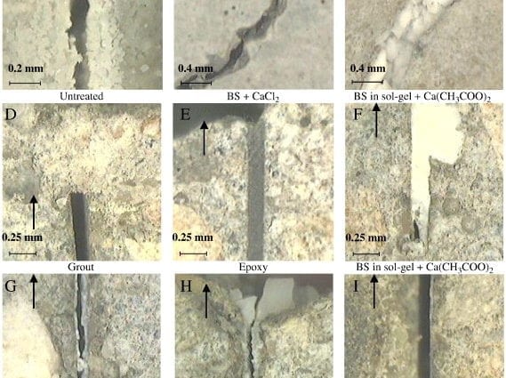 Bacteria in cracks: how to know when dishes need to be changed