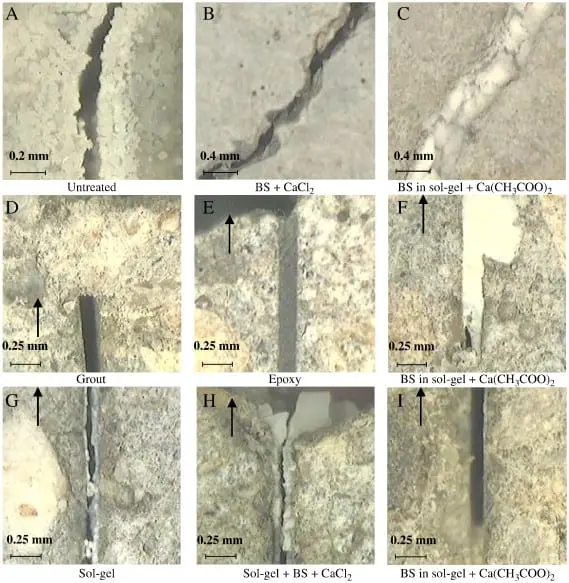 Bacteria in cracks: how to know when dishes need to be changed