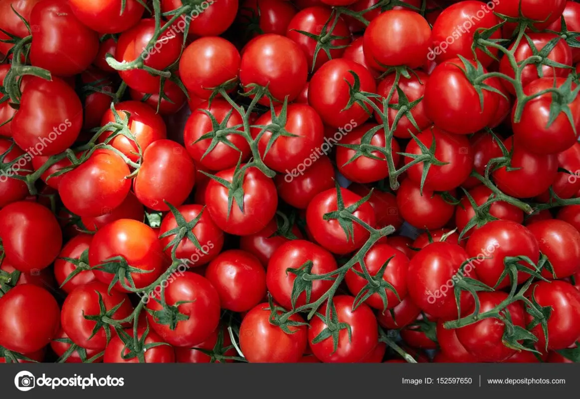 Baku / Zirin tomatoes