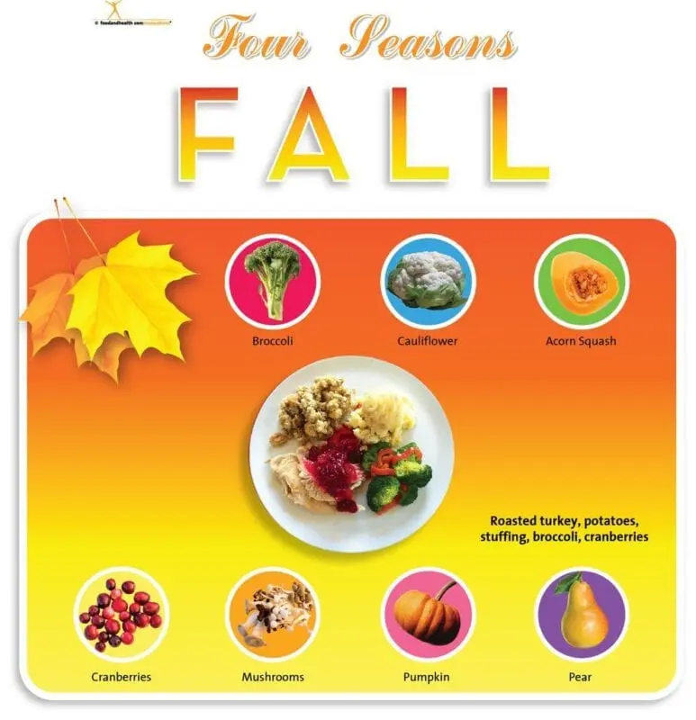 Basic rules for autumn nutrition