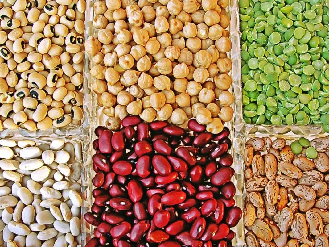 Beans, Peas, Chickpeas, Lentils Help Fight Weight, Aging and Cancer