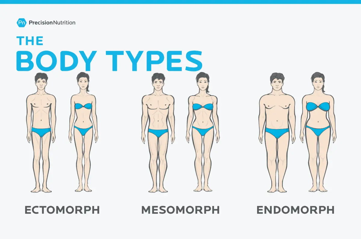 Body types