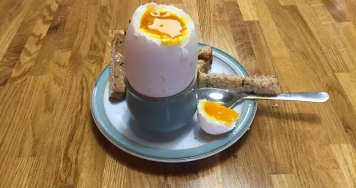 Boiled goose eggs recipe?