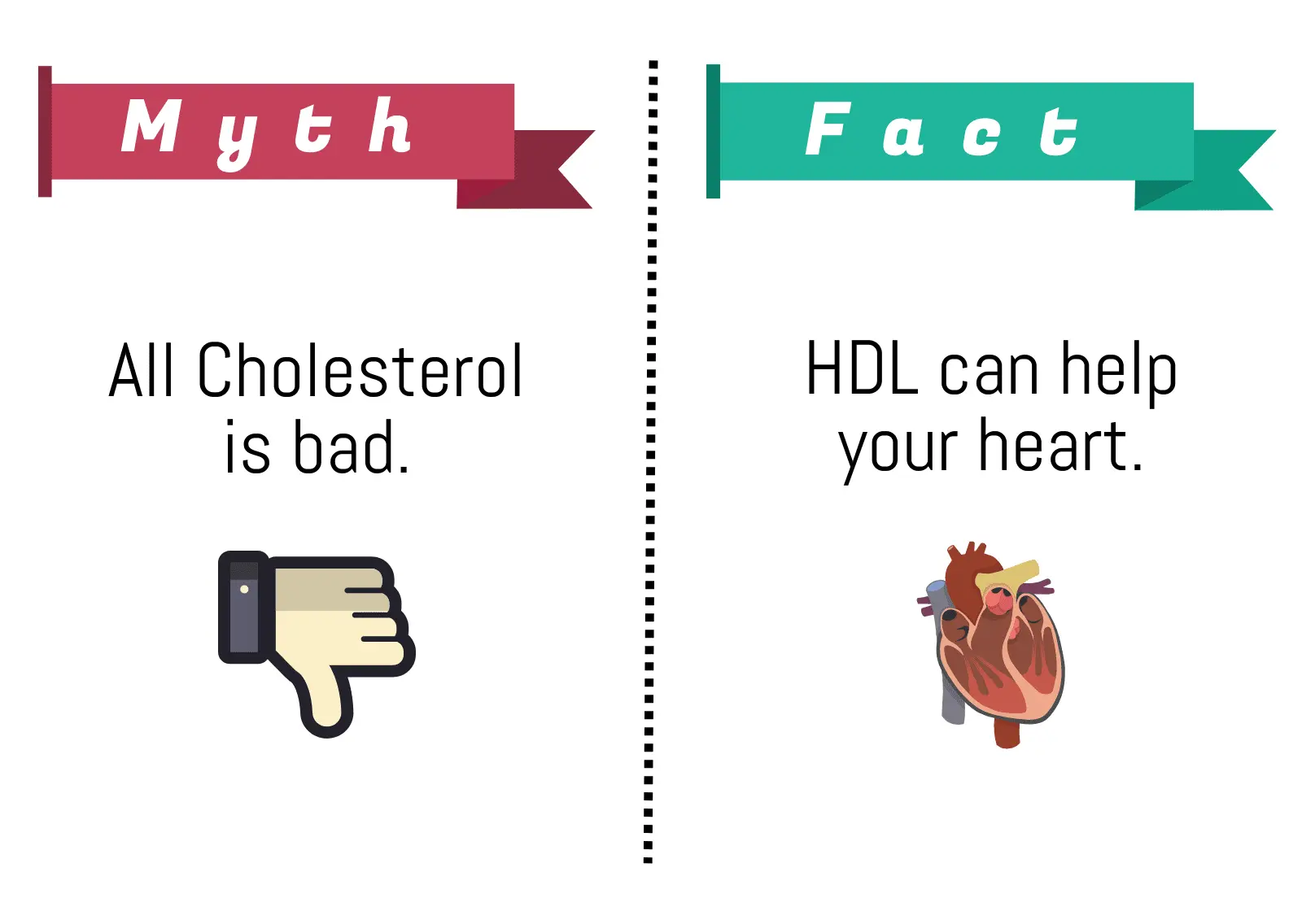 Cholesterol: all truth and misconceptions