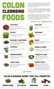 List of diets for cleansing the body