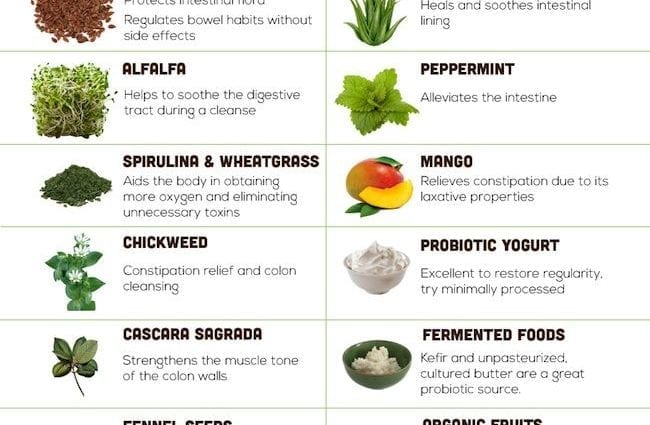 Colon cleansing food