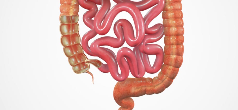 Colon cleansing &#8211; general information