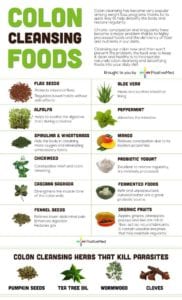 List of diets for cleansing the body