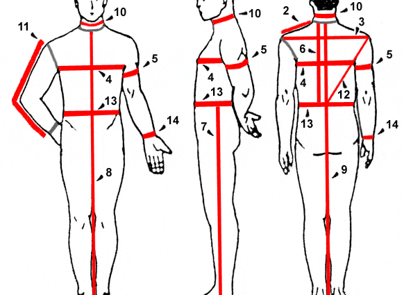 Schemat pomiarów obwodu klatki piersiowej