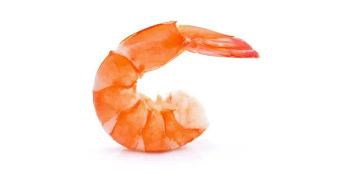 Digested shrimp what to do