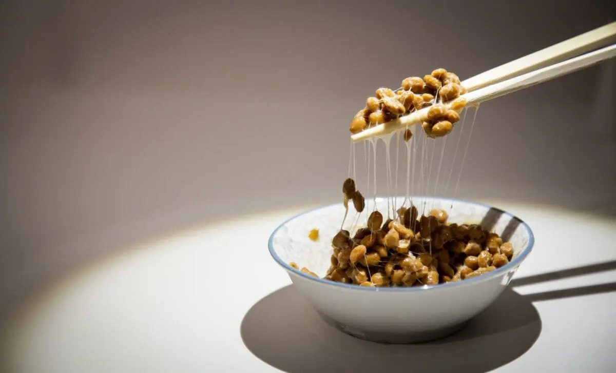 Disgusting food exhibition to open in Sweden