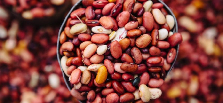 Do beans lose their beneficial properties when cooked?