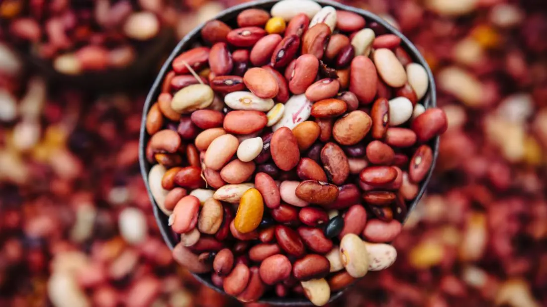 Do beans lose their beneficial properties when cooked?