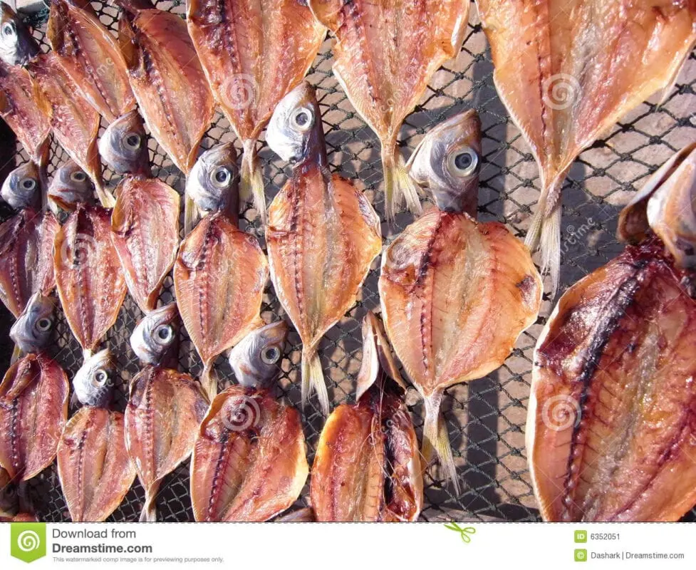 Drying fish and meat