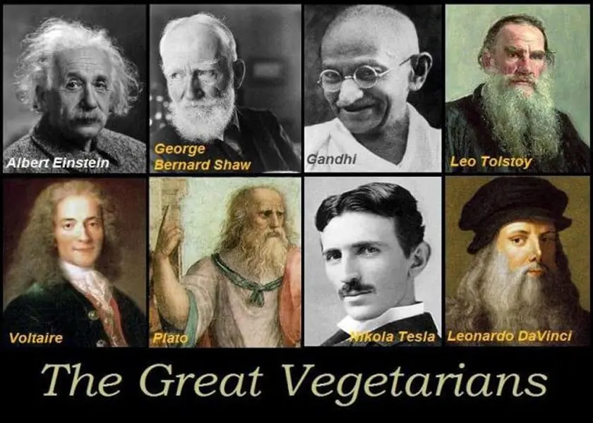 Famous vegetarians