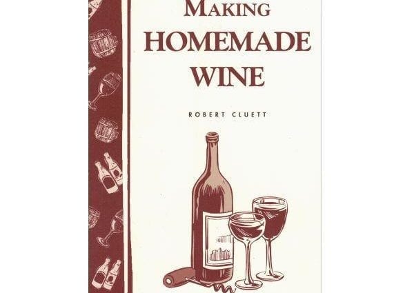 Features of making homemade wine