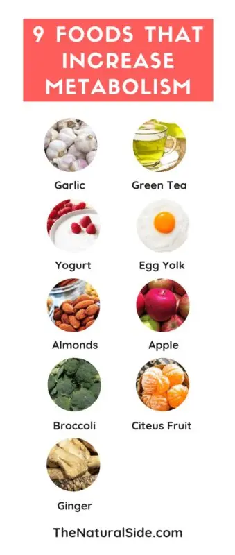 List of diets for specific purposes