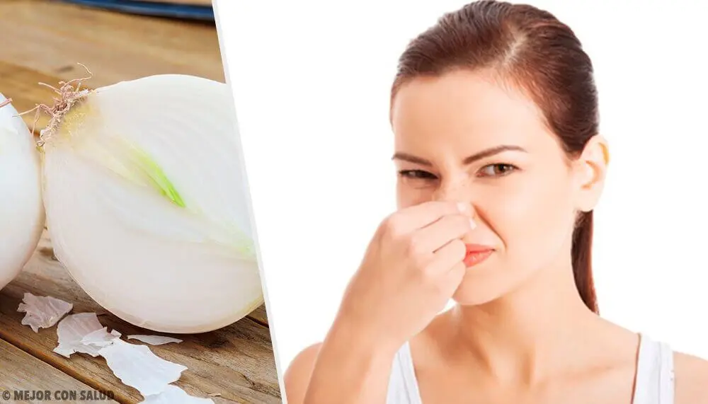 Foods that cause body odor