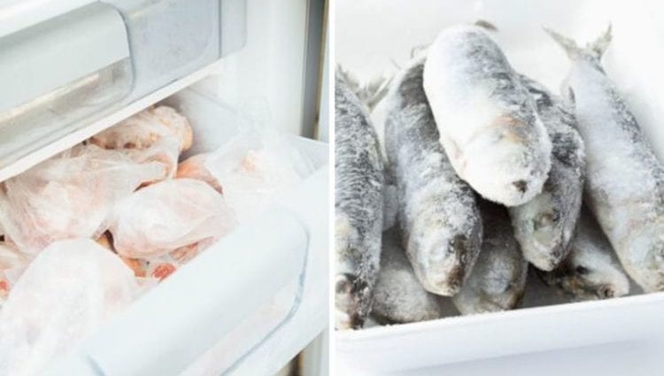 Freezing fish and meat