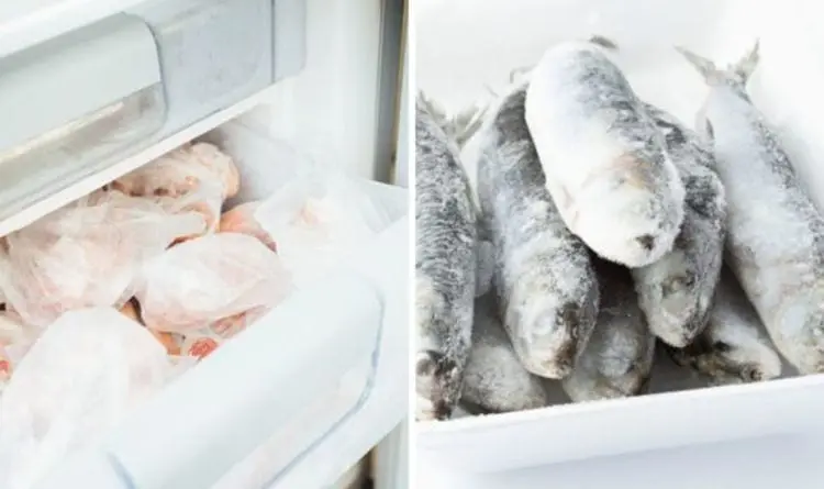 Freezing fish and meat