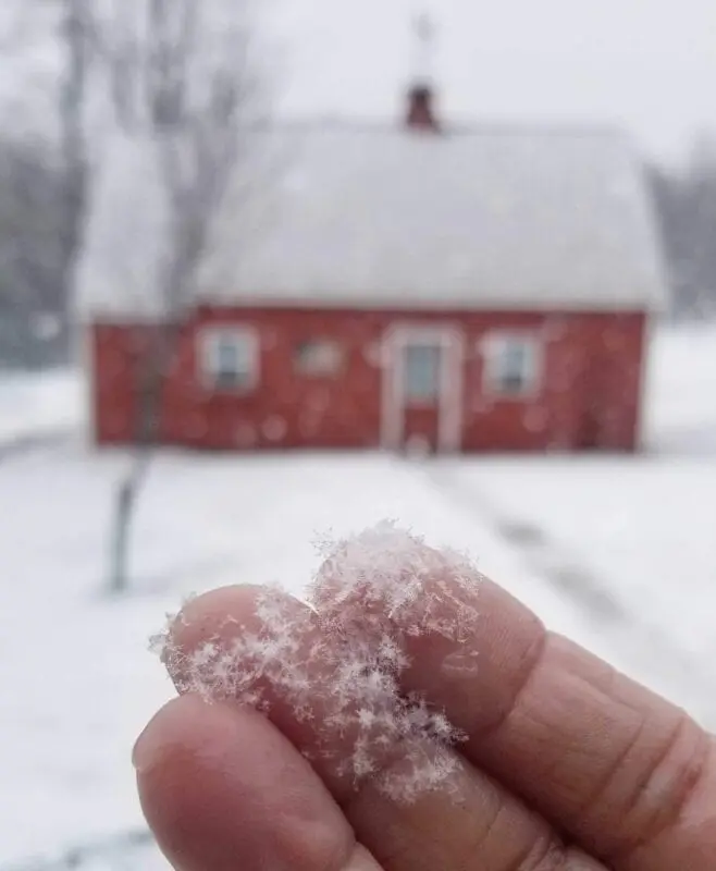 Freezing until winter: how to properly seal food in ice